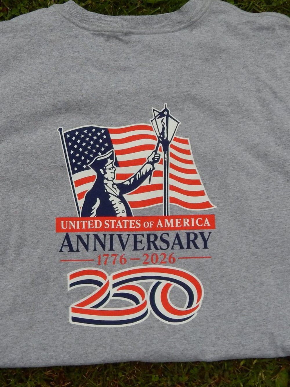 Carhartt Celebrate America 250 Years Mens T Shirt XL Loose Fit Patriotic Flag